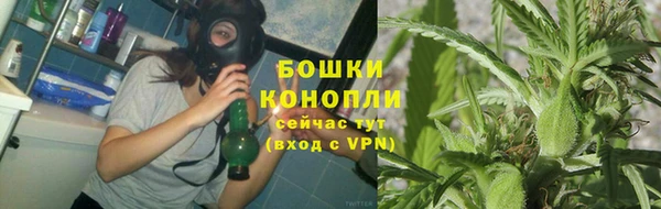 PSILOCYBIN Беломорск