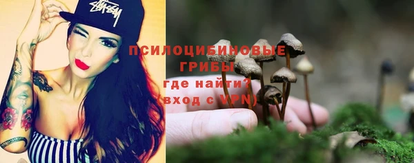 PSILOCYBIN Беломорск
