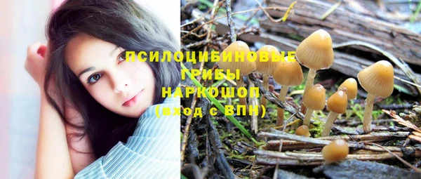 PSILOCYBIN Беломорск